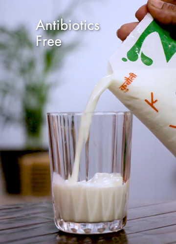 Qualities of Kubauli Milk photo