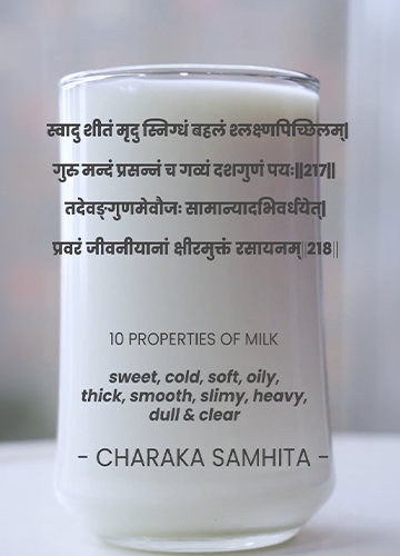 Charak Samhita on Milk photo